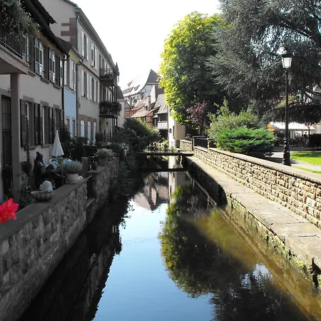 D'alsace