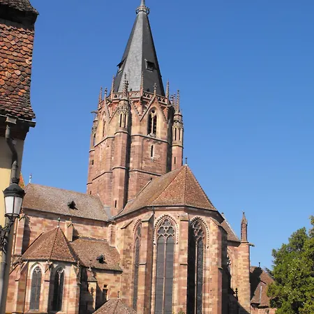 D'alsace 2*