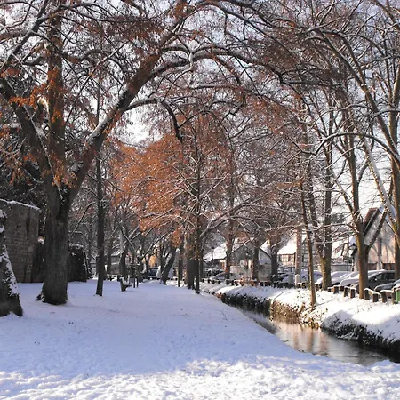 D'alsace Wissembourg