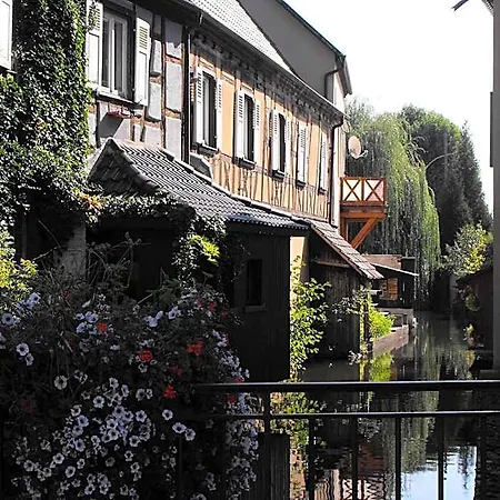 D'alsace 2*