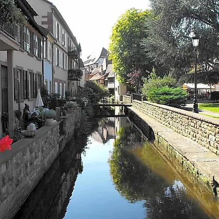 D'alsace