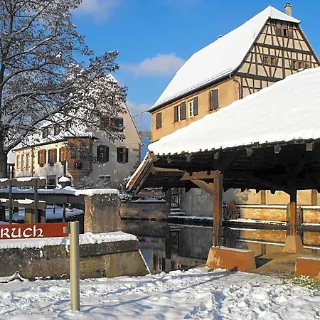 D'alsace 维桑堡