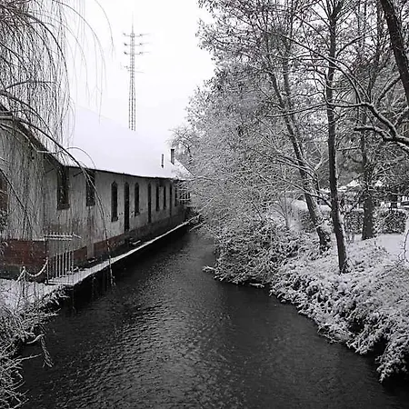 D'alsace Wissembourg