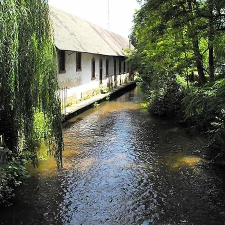 D'alsace Hotel